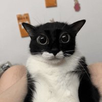 val (@ktbval) 's Twitter Profile