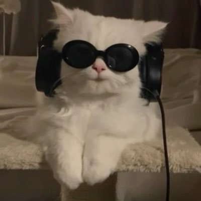 choeyuju33277's profile picture. 