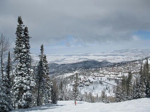 mc_mc_mc's profile picture. 