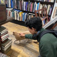 rayyan (@rayyansyahrani) 's Twitter Profile