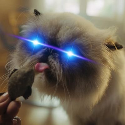 carloslira_mt's profile picture. Cristão, Servidor Público, Crypto Hold.