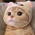 밍밍잉 (@mh_9_2) Twitter profile photo 밍밍잉 (@mh_9_2) Twitter profile photo