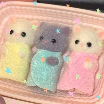 Cleoity's profile picture. 20↑