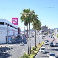 シライタイガ (@t_shirai_) 's Twitter Profile