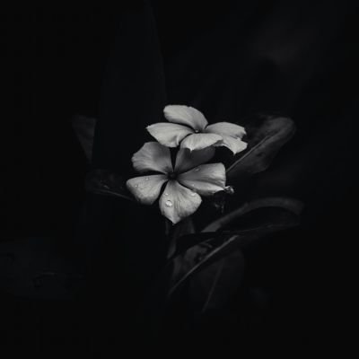 akash__bharti's profile picture. 