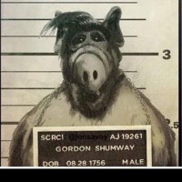 John Sefchik (@sefref32) 's Twitter Profile