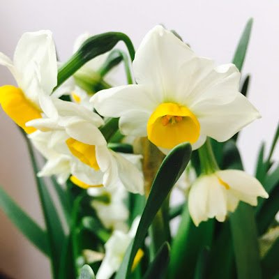 guimei_li37590's profile picture. 