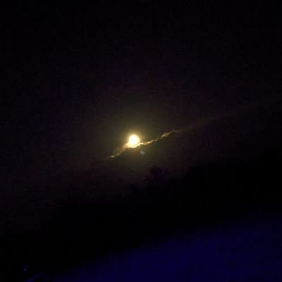 kenpatera0869's profile picture. Ask your mom,😉