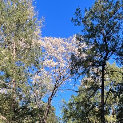 newhp100's profile picture. 