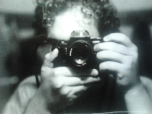 fagyis239's profile picture. fagyis 🍦