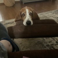 Jeanne Cleve (@jeanne_cleve) 's Twitter Profile