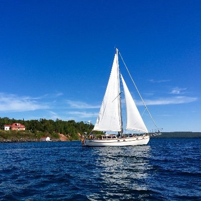 WAboard1981's profile picture. 