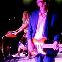 Bees Deluxe (@beesdeluxe) 's Twitter Profile Photo