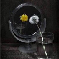 Trace💙theResister (@tracyhuston) 's Twitter Profile