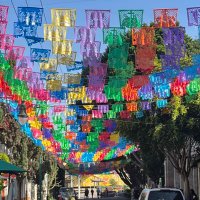 En Tlalpan (@entlalpan) 's Twitter Profile