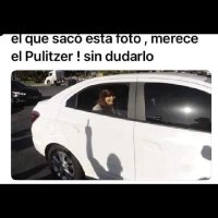 Tigrebarba💛🐱💛🐱 (@tigrebarba) 's Twitter Profile