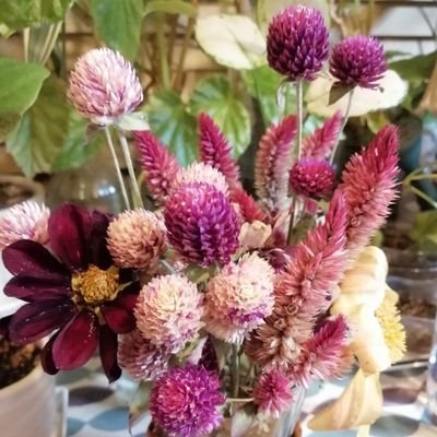 shotenin33's profile picture. 書店で日々働いてます☘️
社会派、リーガル・サスペンス、ミステリー好き
悪役令嬢も好き