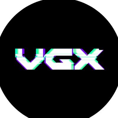 VGX Foundation Profile