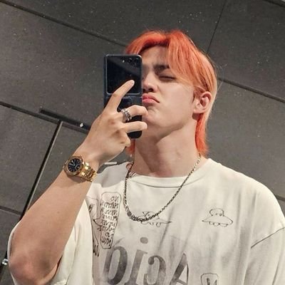 @pledis_17 𐙚𓏲⋆ ִֶָ ๋𓂃 ⋆ᡣ𐭩 CARAT ONLY💎
Homophobic DNI ❌ Minwon Cheolwon Soonhoon• Slight dreamers + asteroids🍓🐹