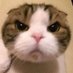 人生クソ喰らえ (@nujcqgqob895877) Twitter profile photo 人生クソ喰らえ (@nujcqgqob895877) Twitter profile photo
