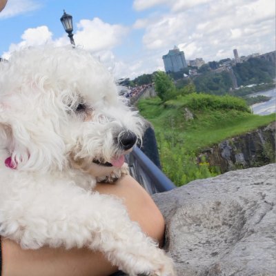 yarizafrancisco's profile picture. Success comes to those who persevere through challenges.