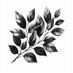 BRANCH (@branchcodex) Twitter profile photo BRANCH (@branchcodex) Twitter profile photo