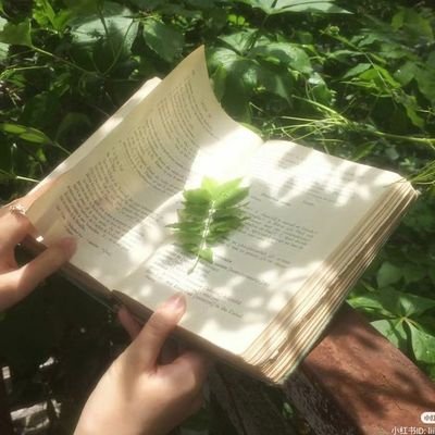 writeinpeace_'s profile picture. be nice, please