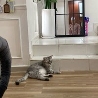 preugly (@preugly69475) 's Twitter Profile