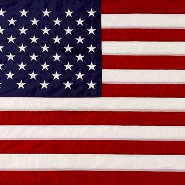 America - Ship of Fools