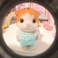 🍓 (@nyagyudo) 's Twitter Profile Photo