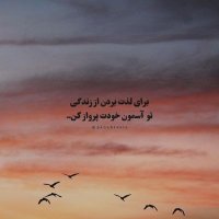 Abass (@bs7375091233871) 's Twitter Profile