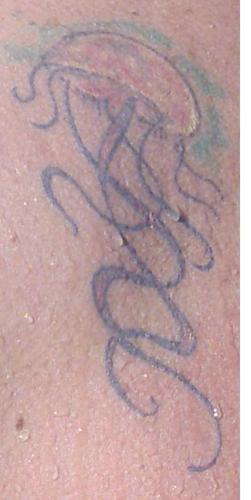 FcuberoA's profile picture. Haciendo permanentemente balance de lo bueno y lo malo... a la busqueda del equilibrio y en continua evolución