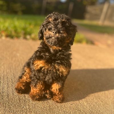 22roven's profile picture. 