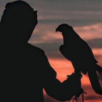 أبو صگر (@abusagrrr) 's Twitter Profile