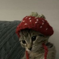 . (@tipcioldumglb) 's Twitter Profile