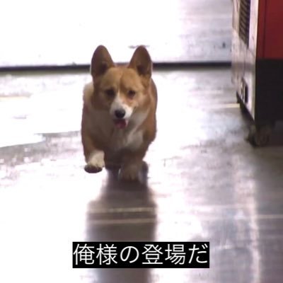 _L0G0UT__'s profile picture. 金の切れ目が縁の切れ目♩おぢは全員くたばれ♩