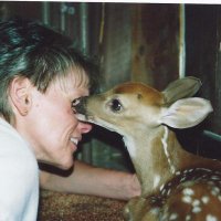 GailVogel18 (@gail_vogel18) 's Twitter Profile