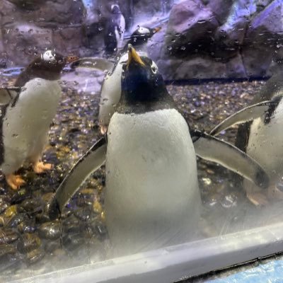 DavidForrest28's profile picture. The interim is mine