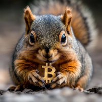 Bitnut (@bitnutsol) 's Twitter Profile
