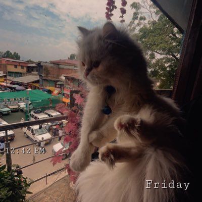 YourTalklessD's profile picture. 