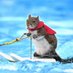 TWIGGY The Squirrel | FAN Page (@twiggyonsol) Twitter profile photo TWIGGY The Squirrel | FAN Page (@twiggyonsol) Twitter profile photo