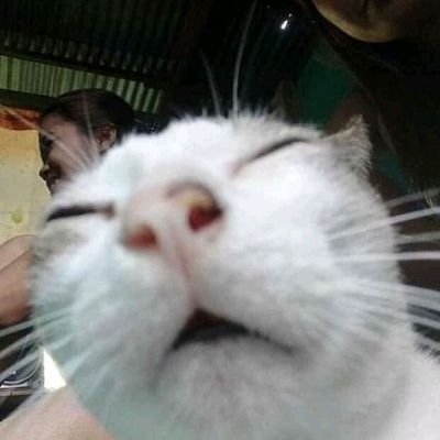 berkeluh kesah adalah jalan hidupnya, aku sesekali aja...zzzzz