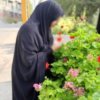 خانم رمضانی (@gramezani2) 's Twitter Profile