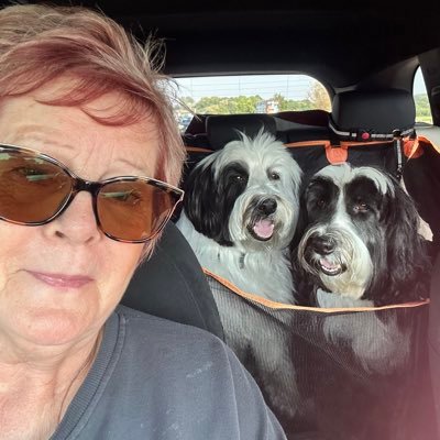 i im married with 2 sons. retired driving instructor