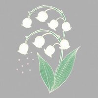へいちょ (@tykkh5) 's Twitter Profile