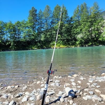 KrakenUpNorth's profile picture. Kraken fan and a cynical bastard.