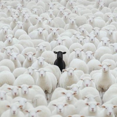 henries_lee's profile picture. 🇿🇼🇿🇲 ¤||¤ certified speaker 🗣️🗣️¤||¤ ¤||¤ signed to the streets ⛓️📌¤||¤ STREET DIPLOMAT