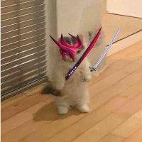 +10000 CRIT (@cr1t1calstr1ke) 's Twitter Profile Photo +10000 CRIT (@cr1t1calstr1ke) 's Twitter Profile Photo