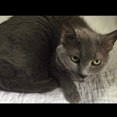 redkris60's profile picture. Trying to stay positive in this turbulent time. #resist 🌻