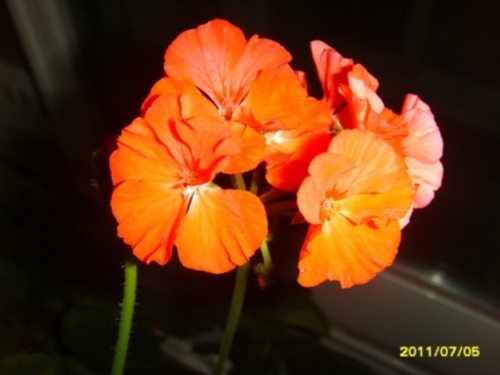 oksmile82's profile picture. 사회적 통념과 양심에 부끄럼없이--정답없는 사람사는세상--착각속에 떠밀려서--